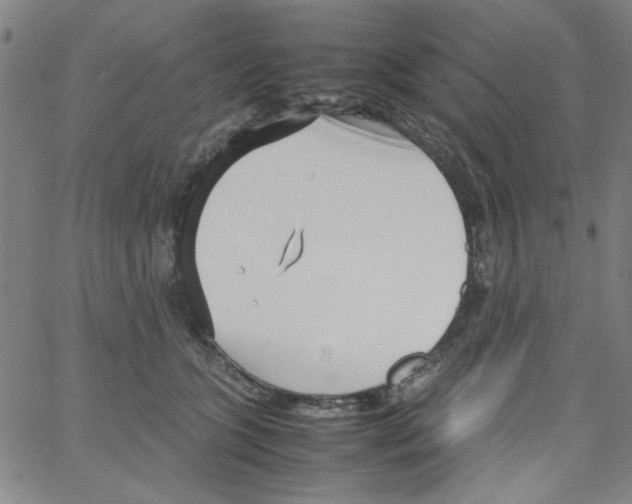 X0000066100563200604071825