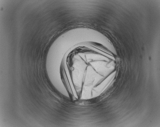 X0000066100564200604071825