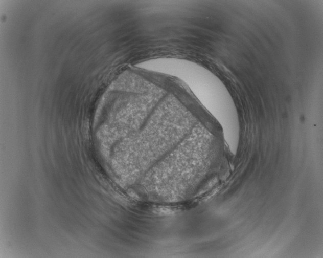 X0000066100565200604071825