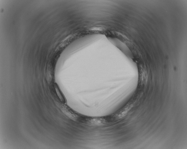 X0000066100566200604071825