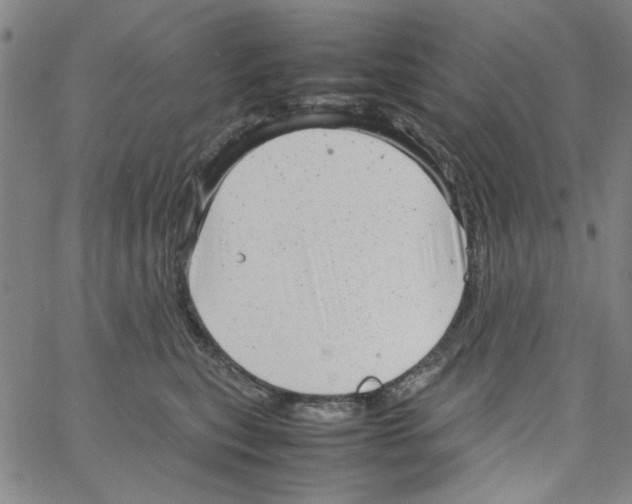 X0000066100567200604071825