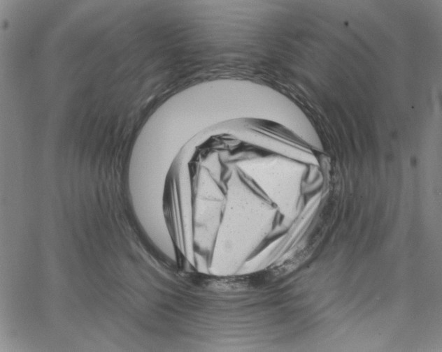 X0000066100568200604071825