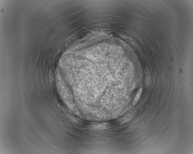 X0000066100569200604071825