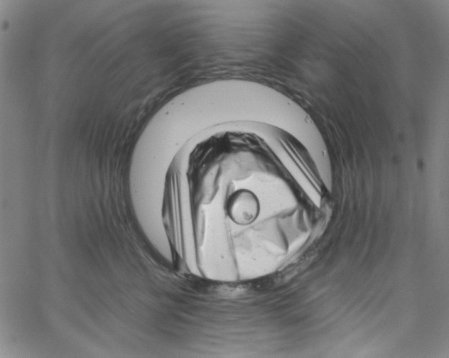 X0000066100570200604071825