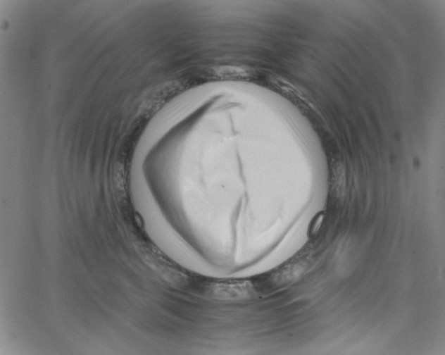 X0000066100571200604071825