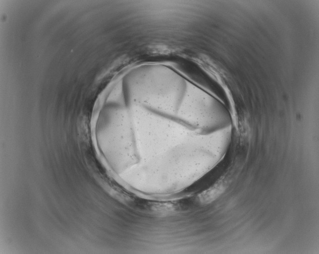 X0000066100572200604071825