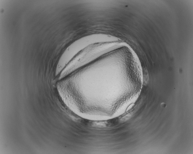 X0000066100573200604071825