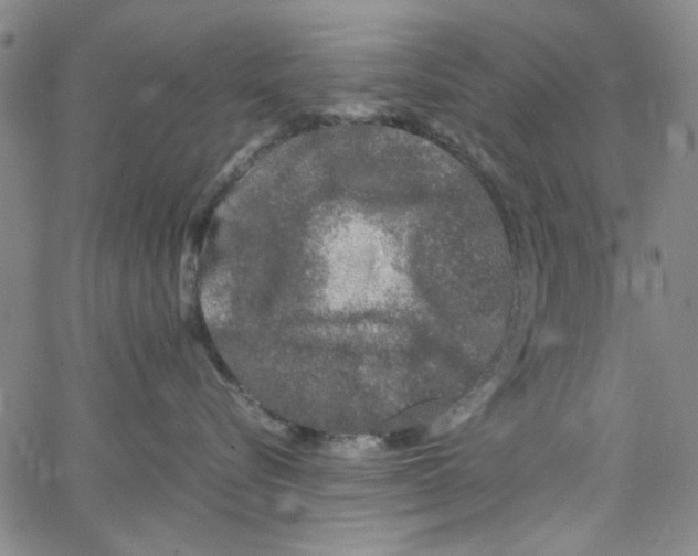 X0000066100576200604071825