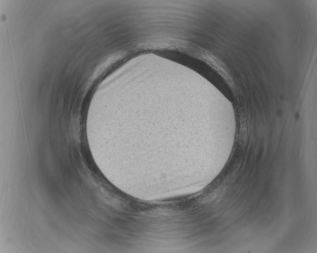 X0000066100578200604071824