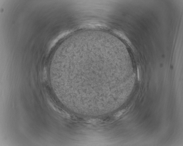 X0000066100579200604071824