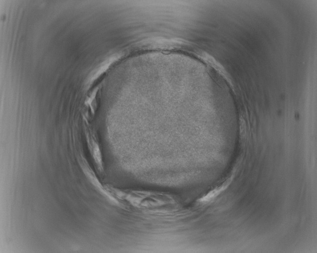 X0000066100581200604071824