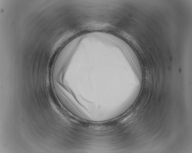 X0000066100582200604071824