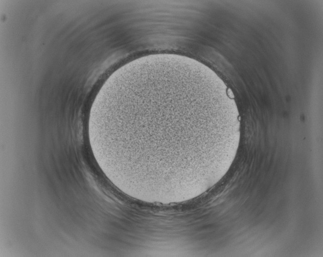 X0000066100584200604071824