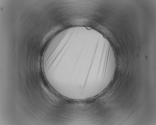 X0000066100586200604071824