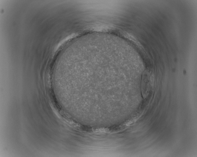 X0000066100587200604071824