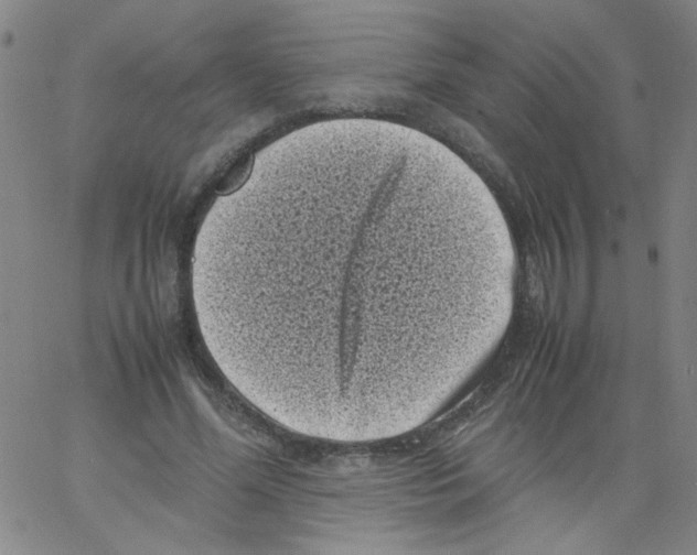 X0000066100588200604071824