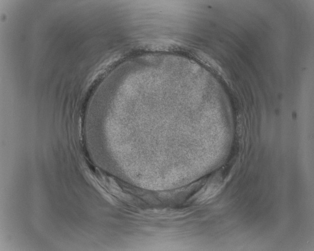 X0000066100589200604071824