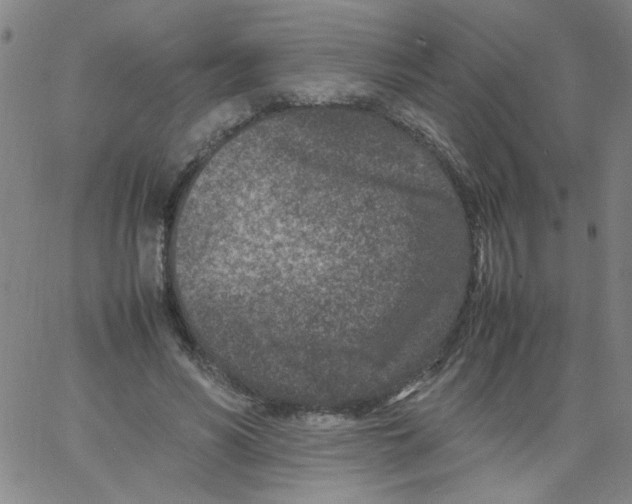 X0000066100590200604071824