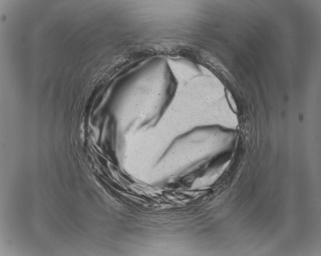 X0000066100593200604071824