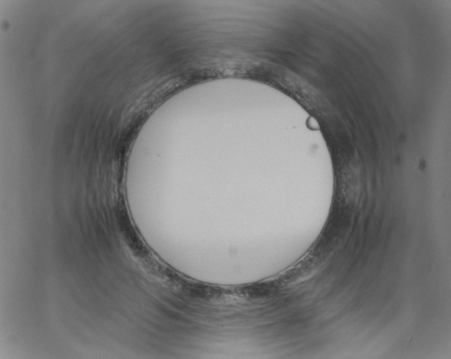 X0000066100594200604071824