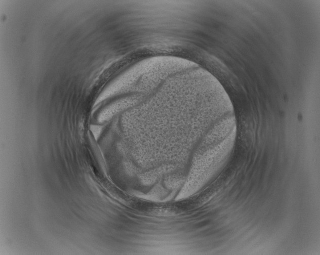 X0000066100596200604071824