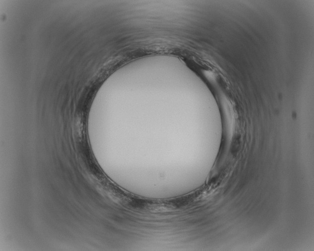 X0000066100597200604071824