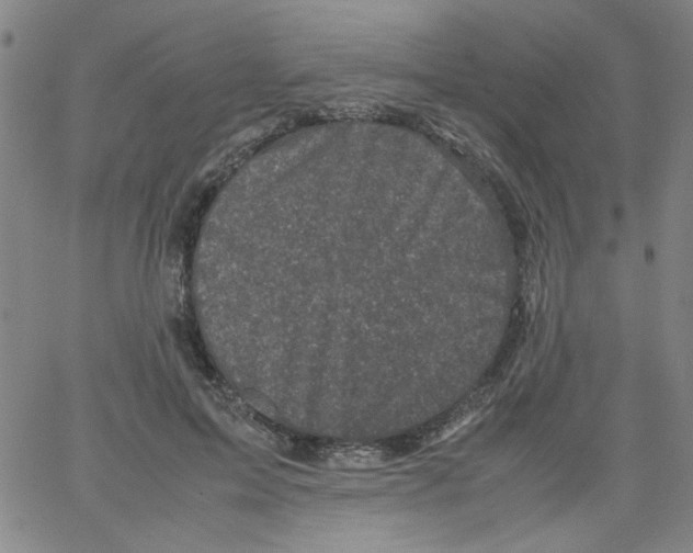 X0000066100599200604071824