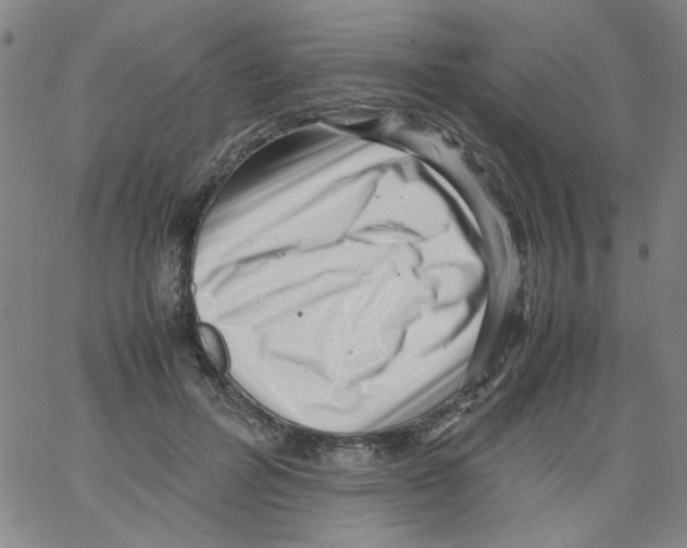 X0000066100600200604071824