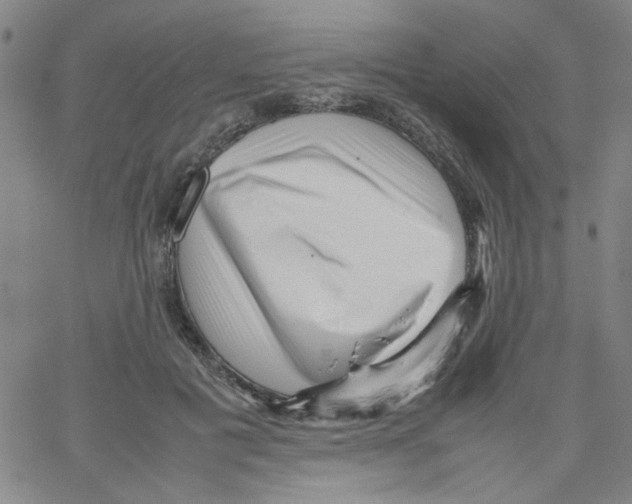 X0000066100601200604071824