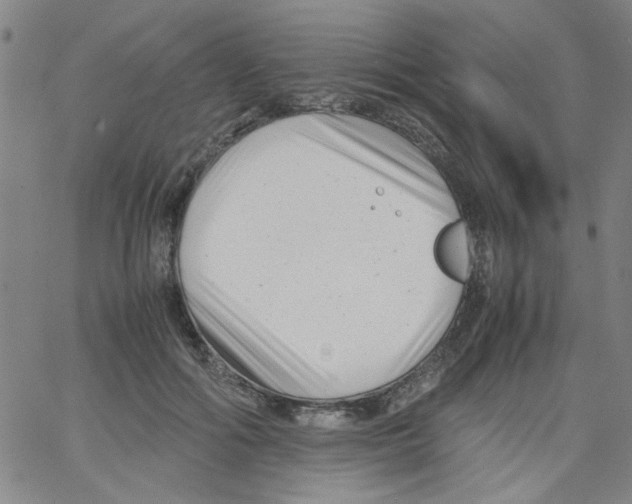 X0000066100602200604071824