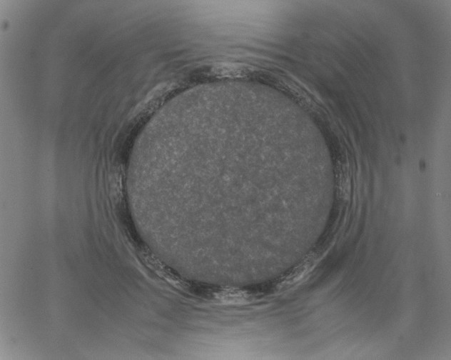 X0000066100603200604071824