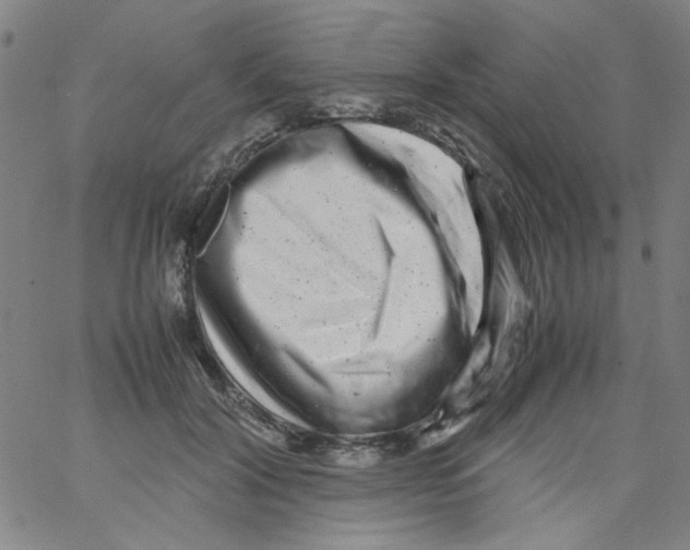 X0000066100604200604071824