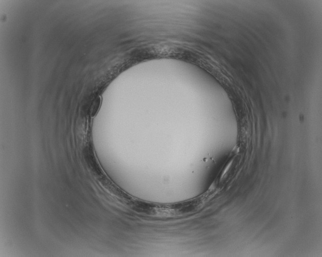 X0000066100605200604071824