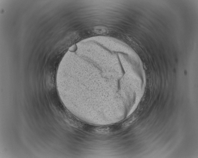 X0000066100606200604071824