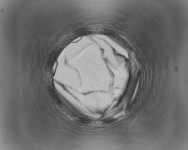 X0000066100609200604071824