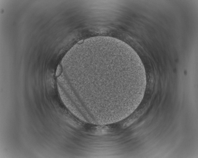 X0000066100612200604071824