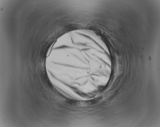 X0000066100613200604071824