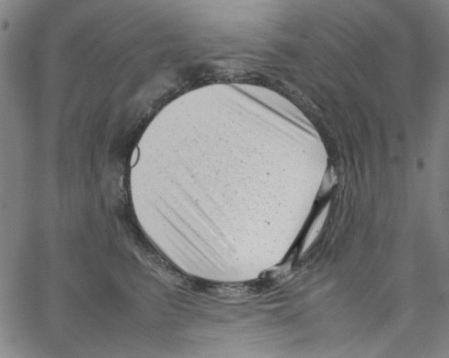 X0000066100615200604071824