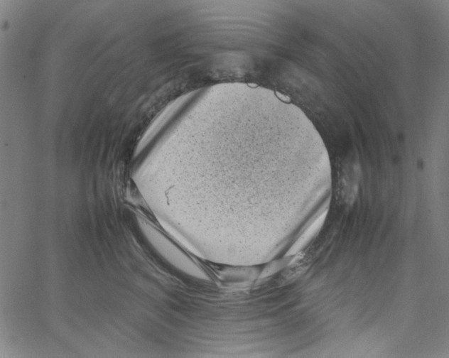 X0000066100616200604071824