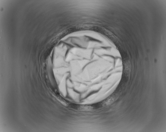 X0000066100617200604071824