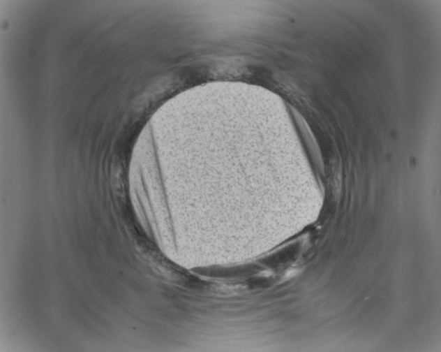 X0000066100619200604071824