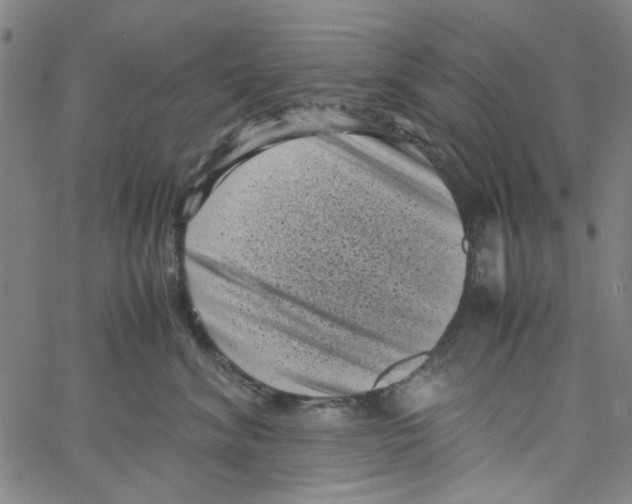 X0000066100620200604071824