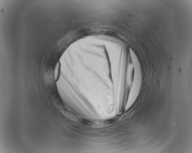 X0000066100623200604071824