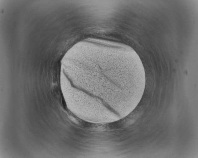 X0000066100624200604071824