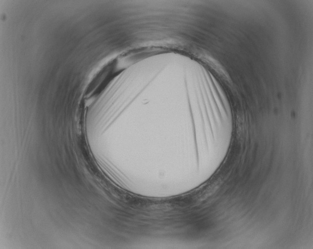 X0000066100628200604071823