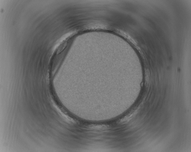 X0000066100629200604071823