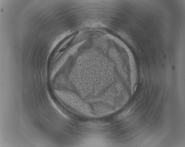 X0000066100630200604071823