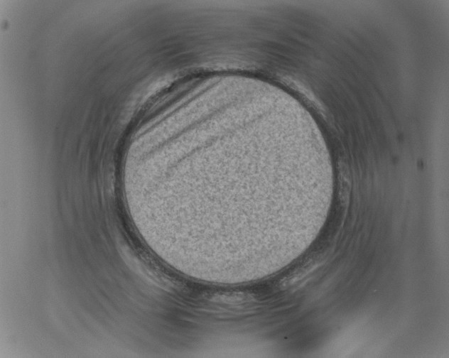 X0000066100631200604071823