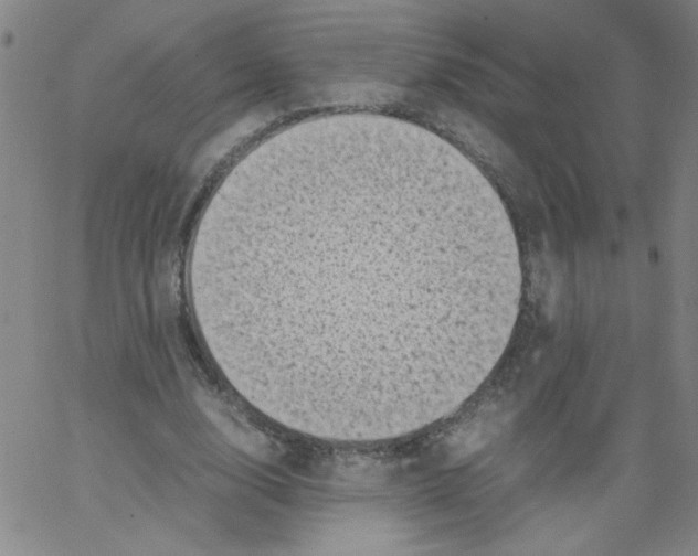 X0000066100632200604071823