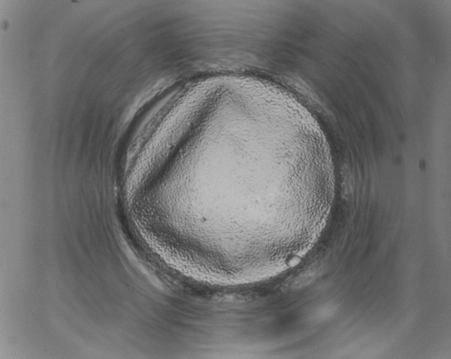 X0000066100634200604071823